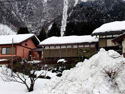 20051229kosei (3).jpg